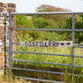 Distillery Tour at Norton Barton, Bude